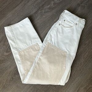 Everlane The Painter Jean 26 Bone White